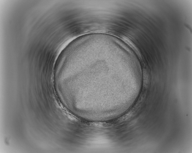 X0000101160956200807251108