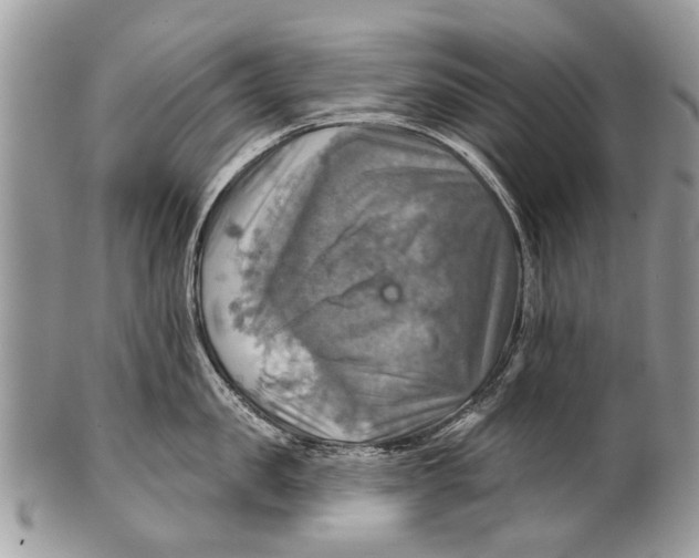 X0000101160957200807251108