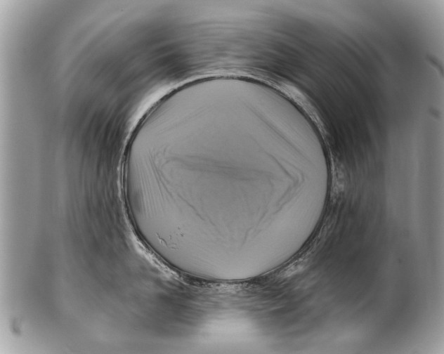 X0000101160958200807251108