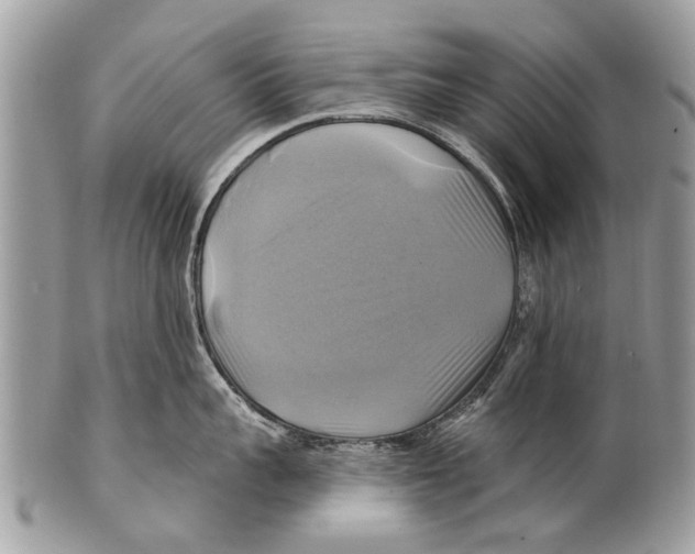 X0000101160959200807251108