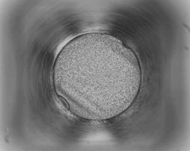 X0000101160960200807251108