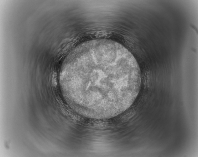 X0000101160962200807251107