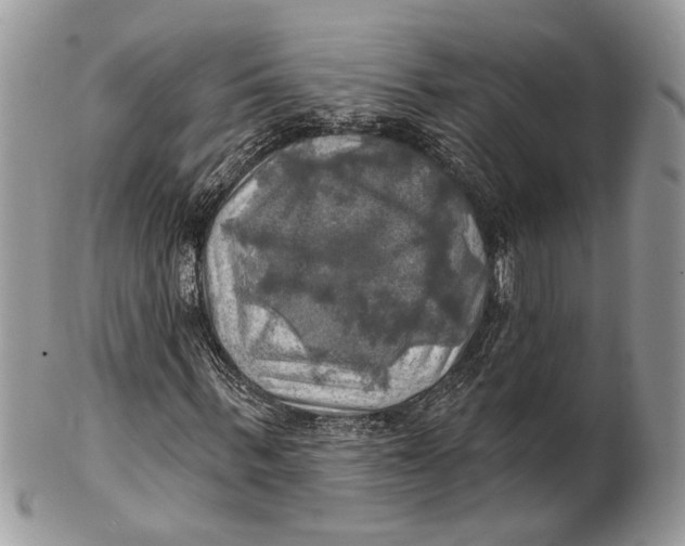 X0000101160963200807251107