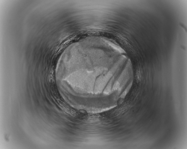 X0000101160964200807251107