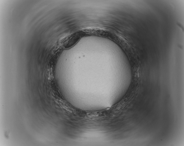 X0000101160965200807251107