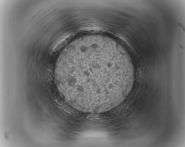 X0000101160967200807251107