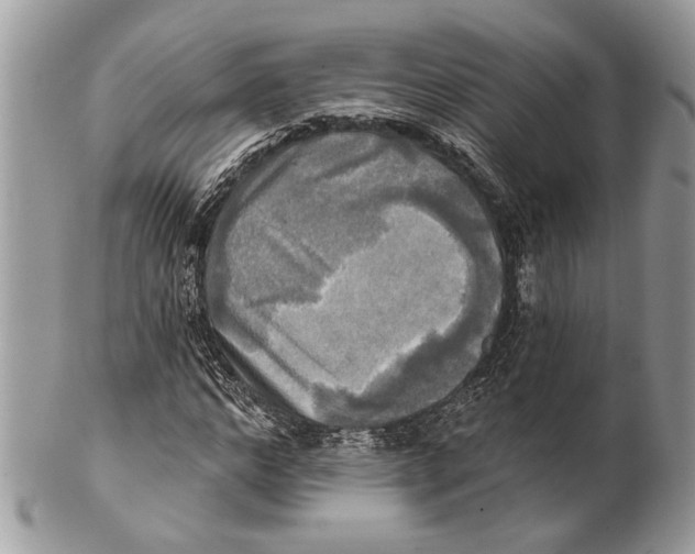 X0000101160968200807251107