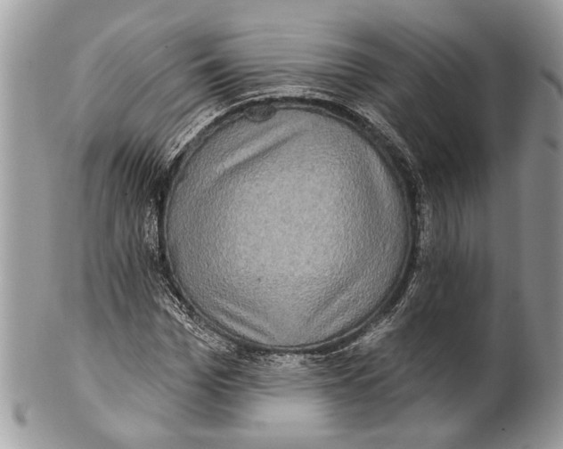 X0000101160969200807251107