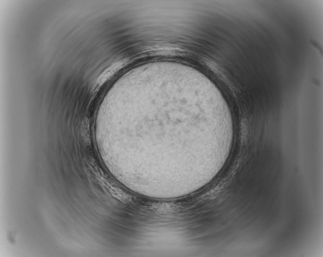 X0000101160970200807251107