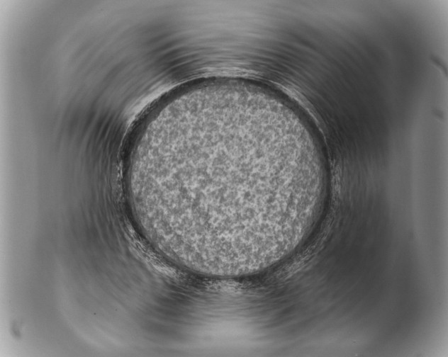 X0000101160971200807251107