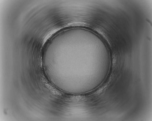 X0000101160973200807251107
