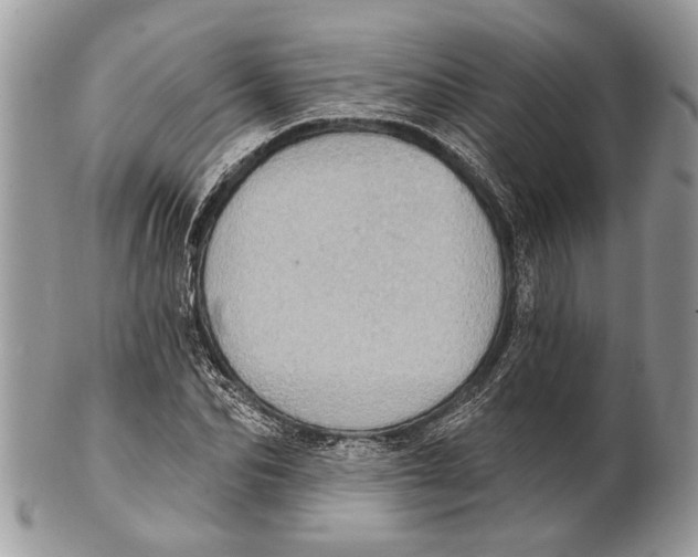 X0000101160974200807251107