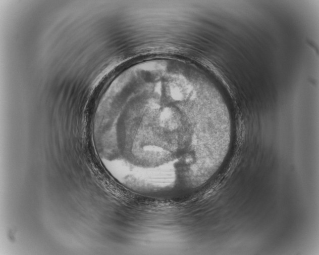 X0000101160975200807251107