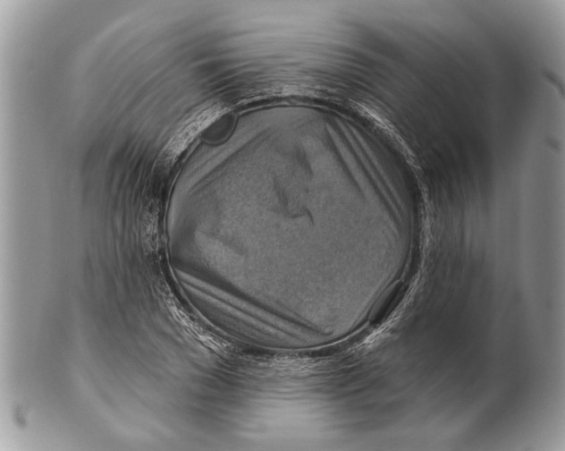 X0000101160977200807251107