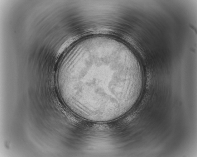 X0000101160978200807251107