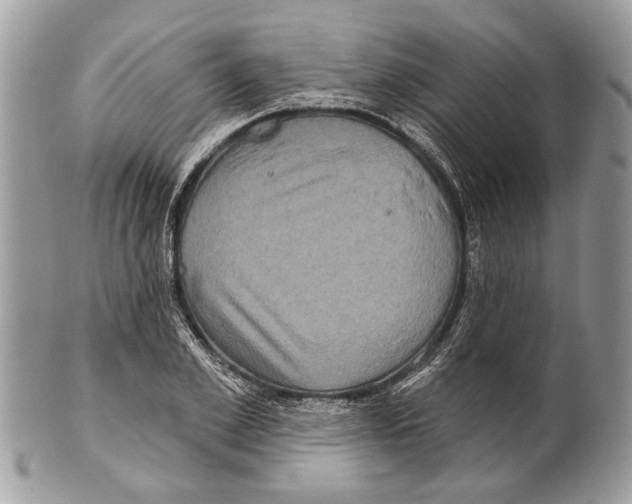 X0000101160981200807251107