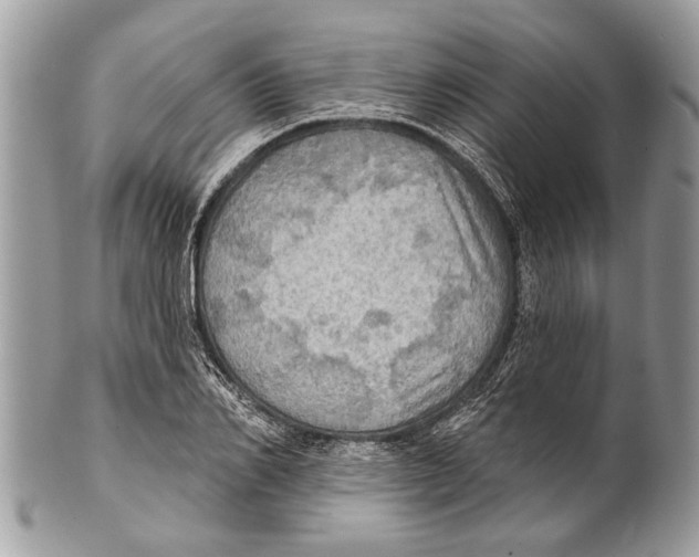 X0000101160982200807251107