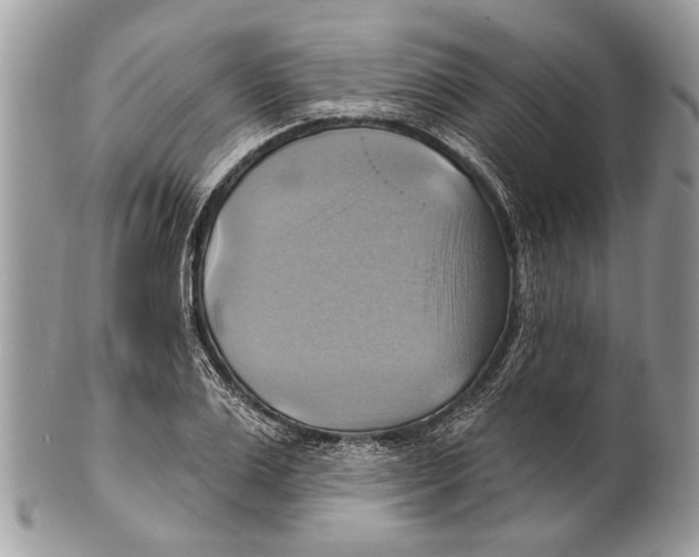 X0000101160983200807251107