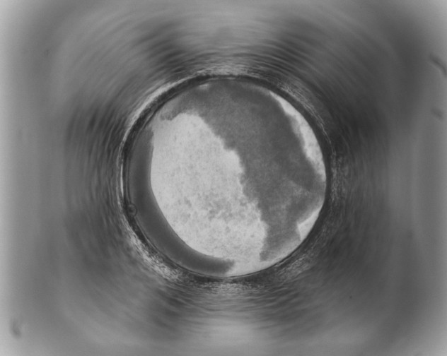 X0000101160984200807251107
