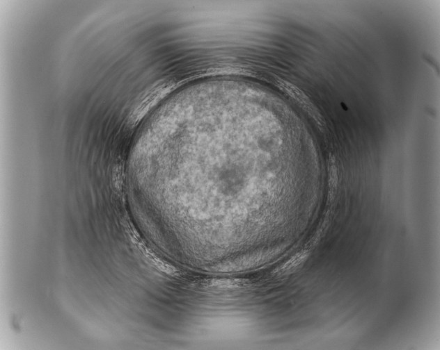 X0000101160985200807251107