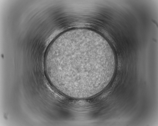 X0000101160986200807251107