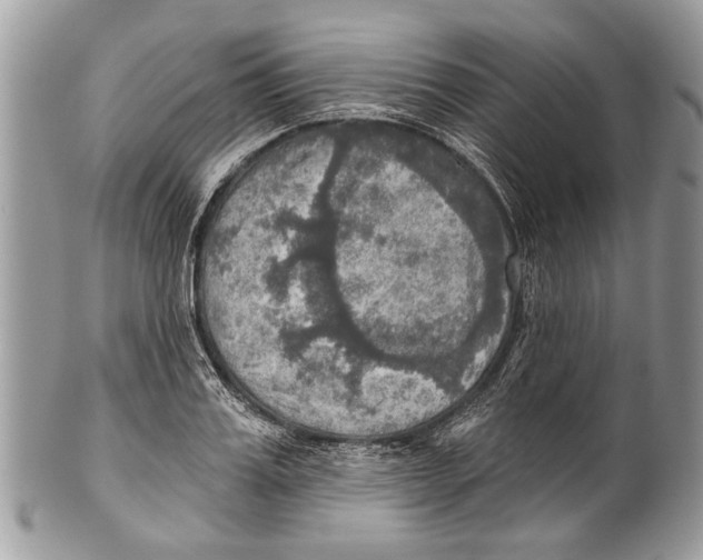 X0000101160987200807251107