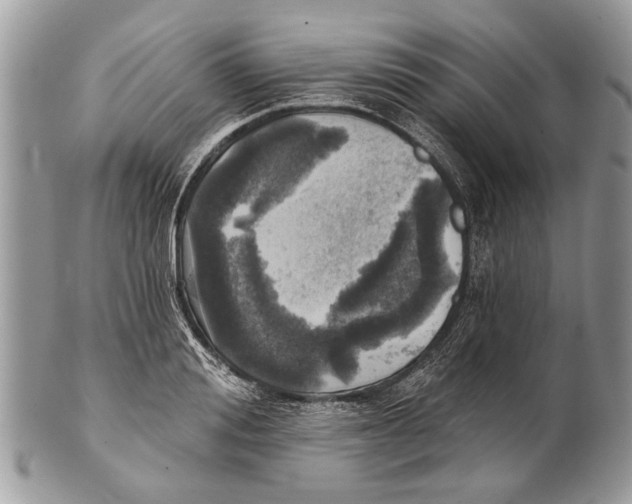X0000101160988200807251107