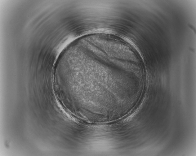 X0000101160989200807251107