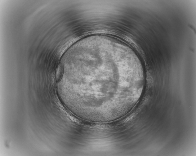X0000101160993200807251107