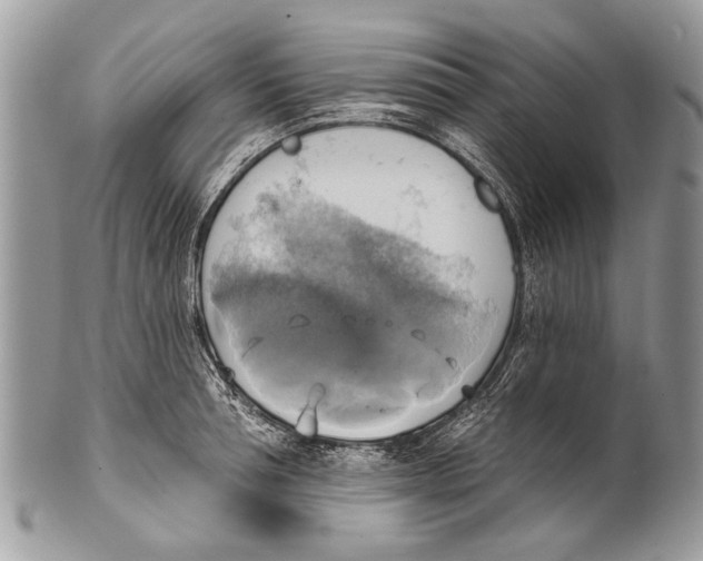 X0000101160994200807251107