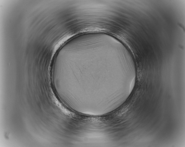 X0000101160995200807251107