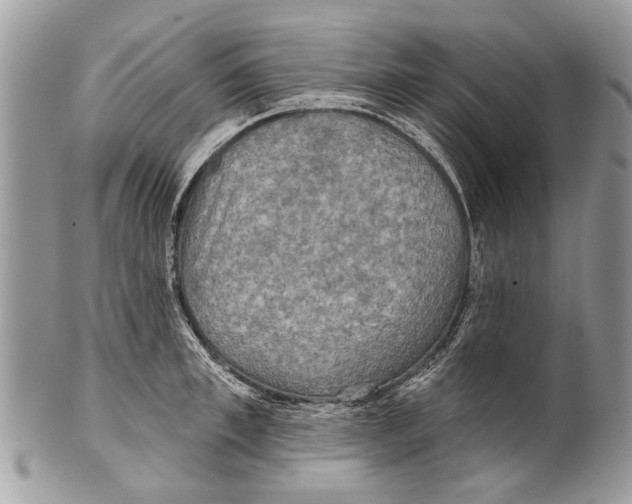 X0000101160997200807251107