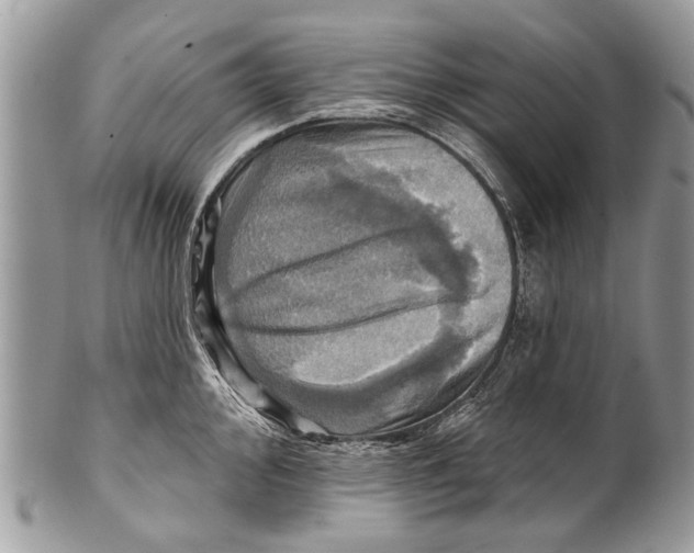 X0000101161000200807251107