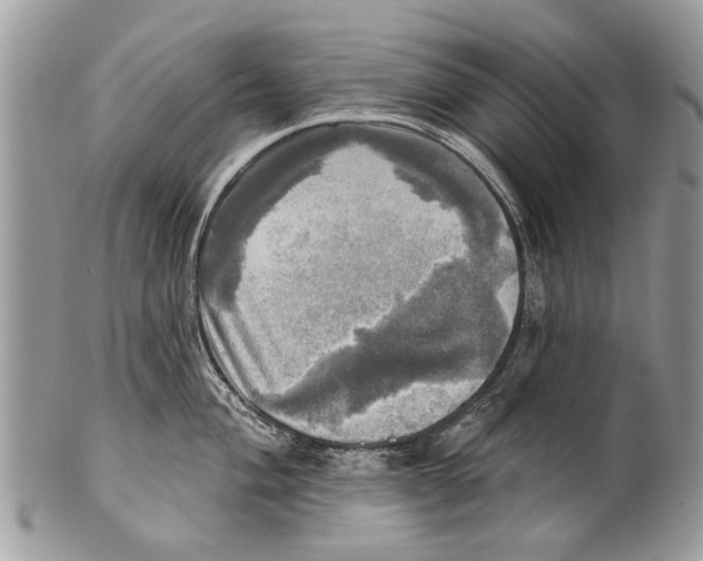 X0000101161004200807251106