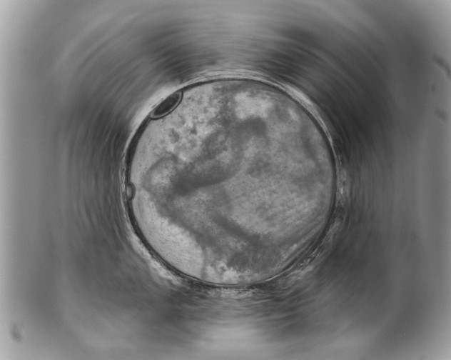 X0000101161005200807251106
