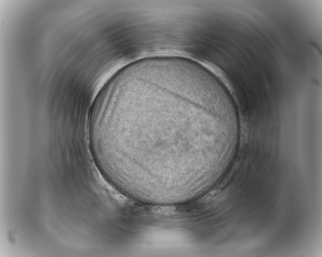 X0000101161006200807251106