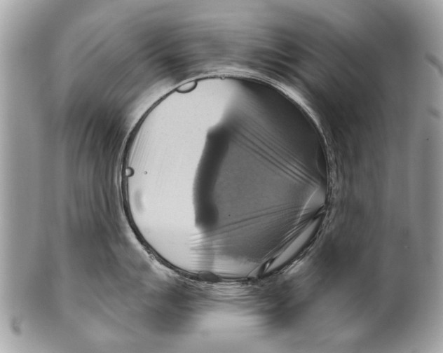 X0000101161007200807251106