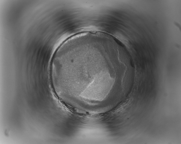 X0000101161008200807251106