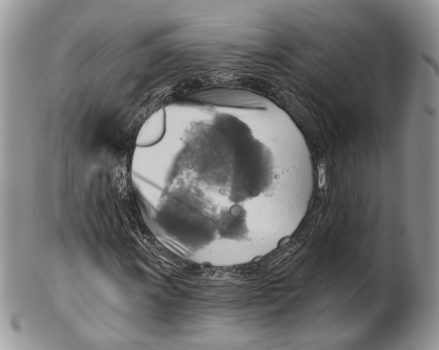X0000101161011200807251106
