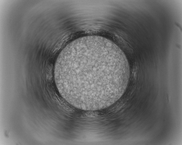 X0000101161012200807251106
