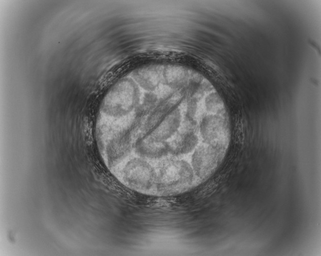 X0000101161013200807251106
