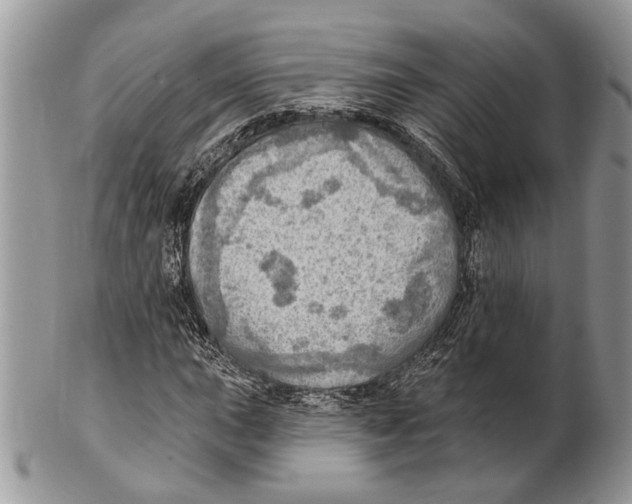X0000101161015200807251106