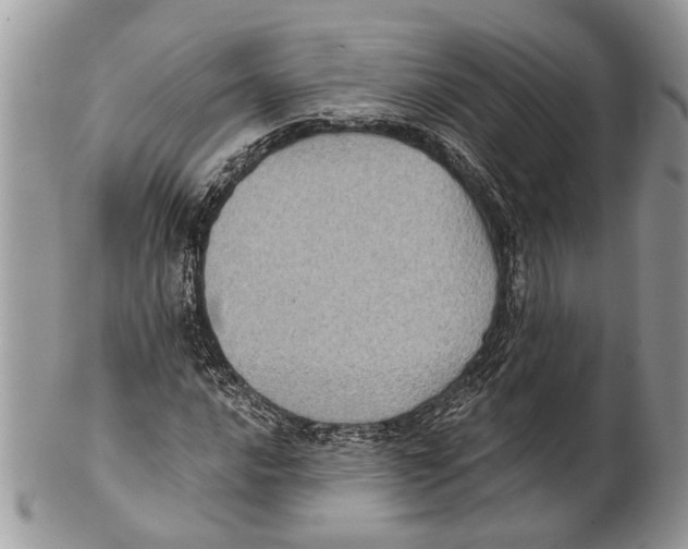 X0000101161016200807251106