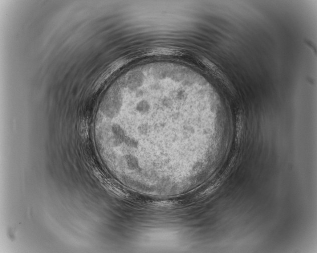 X0000101161017200807251106