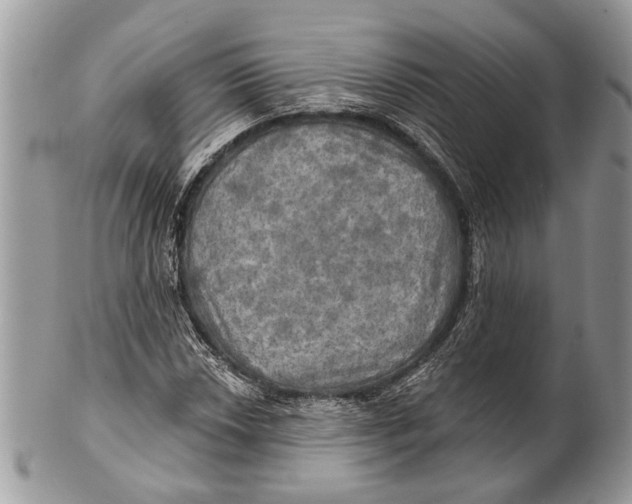 X0000101161018200807251106