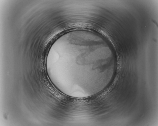 X0000101161019200807251106