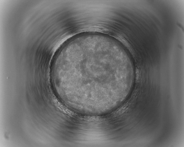X0000101161020200807251106