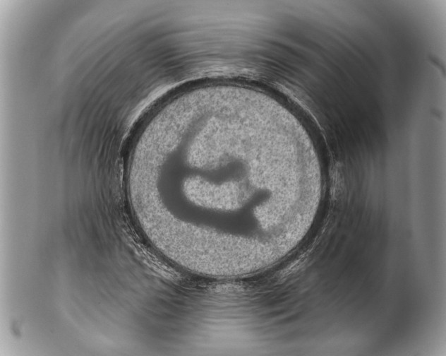 X0000101161021200807251106