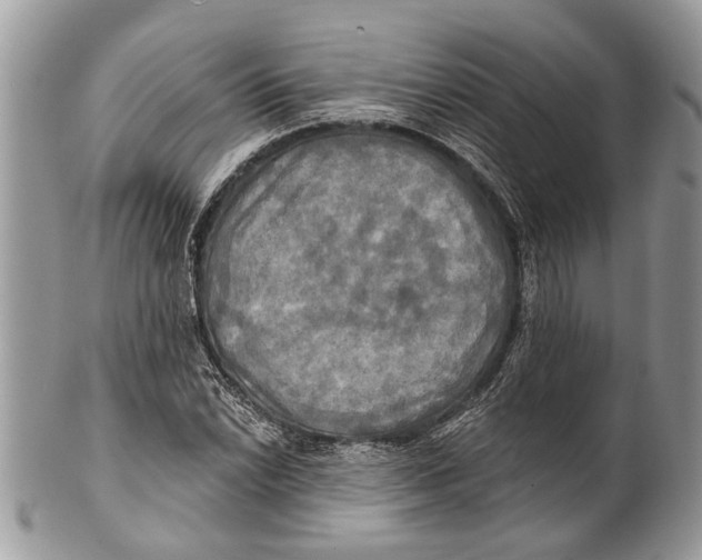 X0000101161022200807251106