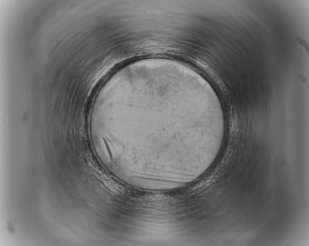 X0000101161023200807251106